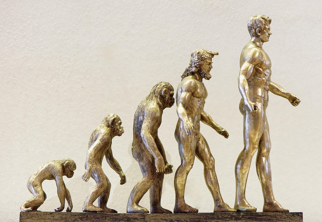 Read more about the article The careful reader guide to understanding visitor questions